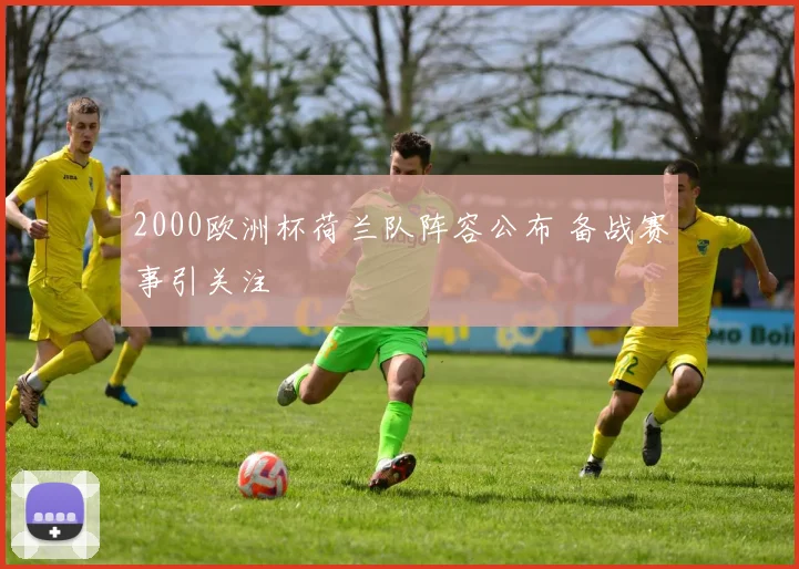 2000欧洲杯荷兰队阵容公布 备战赛事引关注