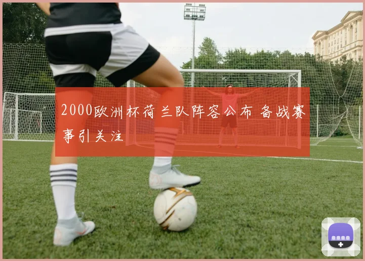 2000欧洲杯荷兰队阵容公布 备战赛事引关注